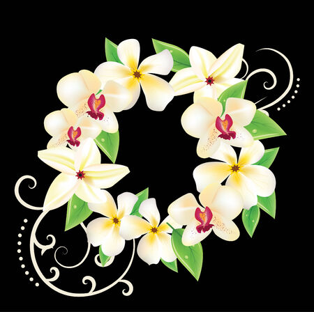 Hawaii vector floral wreath with frangipanies and orchids のイラスト素材