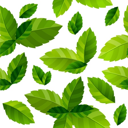 Seamless background mint leaves のイラスト素材