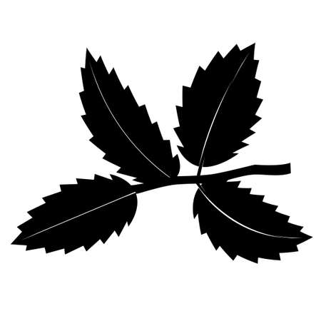 Black-and-white twig with leaves.のイラスト素材