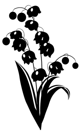 Black and white lily of the valleyのイラスト素材