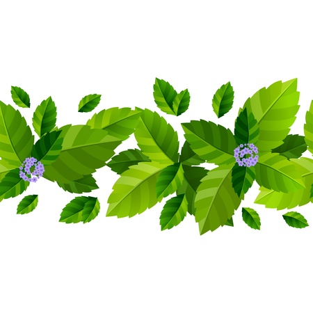 Seamless background with fresh green mint leaves のイラスト素材