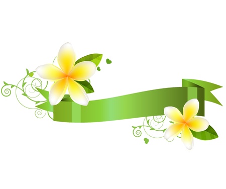 Frangiapani flowersのイラスト素材