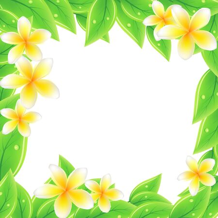Frame with green leaves and frangipaniのイラスト素材