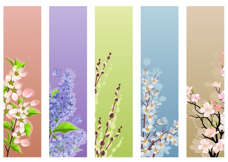 Collection of floral bannersのイラスト素材