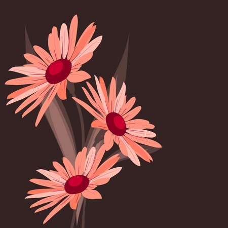 Pink flowers on dark backgroundのイラスト素材