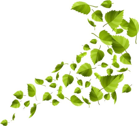 Green fresh realistic leaves isolated on whiteのイラスト素材