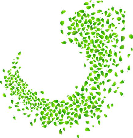 A lot of green leaves isolated on white background.のイラスト素材