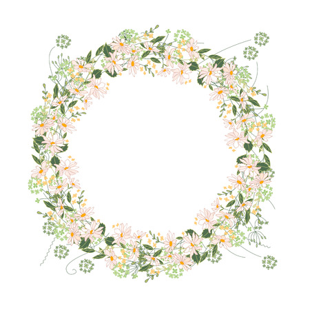Detailed contour wreath with herbs, daisy and wild flowers isolated on white. Round frame for your design, greeting cards, announcements, posters.のイラスト素材