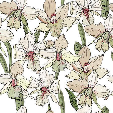 Seamless pattern with orchid flowers. Endless texture for season designのイラスト素材