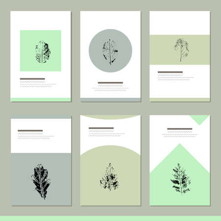 Set with different floral templates. Cards for your design and advertisementのイラスト素材
