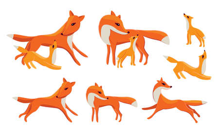 Set with different cute red foxesのイラスト素材