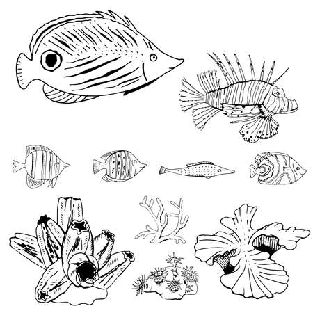 Set with different sea fishes and corals. Black and white hand drawn objects isolated on whiteのイラスト素材