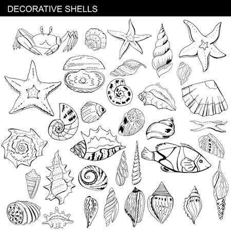Big set with different sea shells. Black and white hand drawn objects isolated on whiteのイラスト素材
