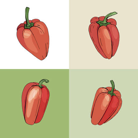 Different peppers. Fresh red vegetables.のイラスト素材