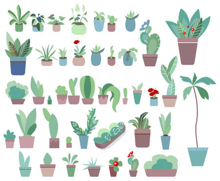Home plants in flower pots isolated on white background. Stylized elements for gardening and planting flowersのイラスト素材