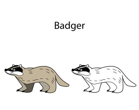 Funny cute animal badger isolated on white background. Linear, contour, black and white and colored version. Illustration can be used for coloring book and pictures for childrenのイラスト素材