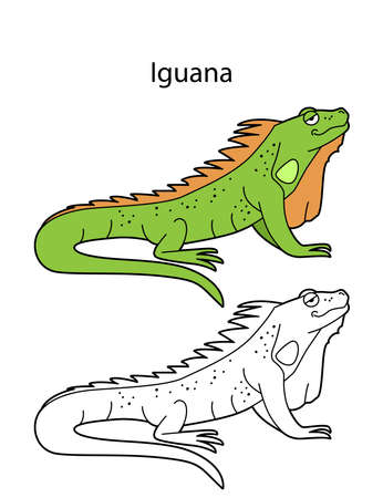 Funny cute animal iguana isolated on white background. Linear, contour, black and white and colored version. Illustration can be used for coloring book and pictures for childrenのイラスト素材
