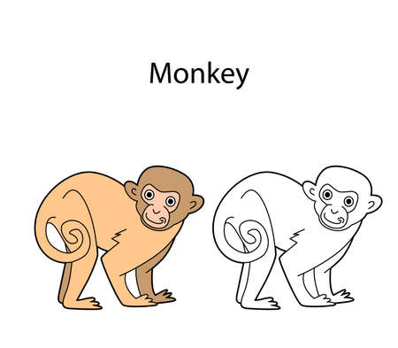 Funny cute animal monkey isolated on white background. Linear, contour, black and white and colored version. Illustration can be used for coloring book and pictures for childrenのイラスト素材