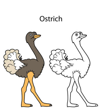 Funny cute animal ostrich isolated on white background. Linear, contour, black and white and colored version. Illustration can be used for coloring book and pictures for childrenのイラスト素材