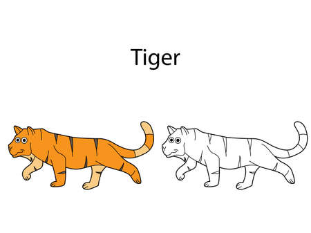 Funny cute animal tiger isolated on white background. Linear, contour, black and white and colored version. Illustration can be used for coloring book and pictures for childrenのイラスト素材