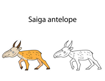 Funny cute animal saiga antelope isolated on white background. Linear, contour, black and white and colored version. Illustration can be used for coloring book and pictures for childrenのイラスト素材