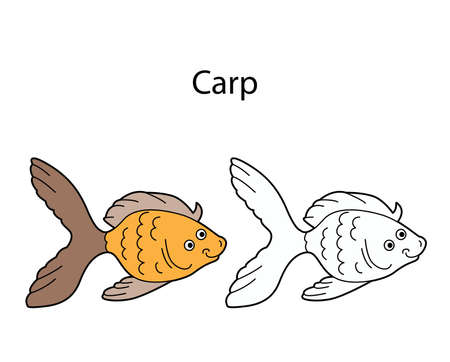 Funny cute fish carp isolated on white background. Linear, contour, black and white and colored version. Illustration can be used for coloring book and pictures for childrenのイラスト素材