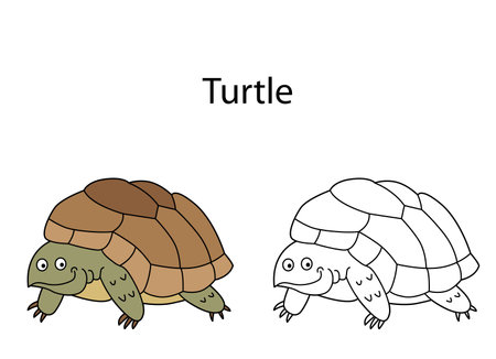 Funny cute animal turtle isolated on white background. Linear, contour, black and white and colored version. Illustration can be used for coloring book and pictures for childrenのイラスト素材