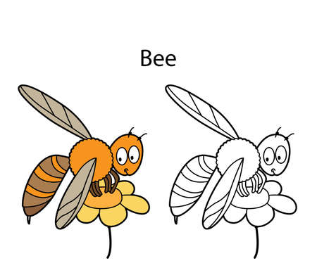 Funny cute insect bee isolated on white background. Linear, contour, black and white and colored version. Illustration can be used for coloring book and pictures for childrenのイラスト素材