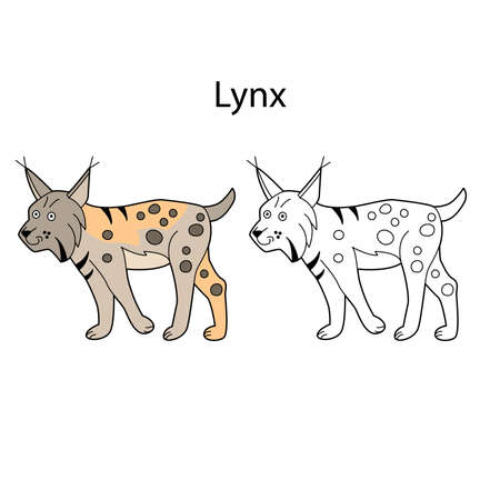 Funny cute animal lynx isolated on white background. Linear, contour, black and white and colored version. Illustration can be used for coloring book and pictures for childrenのイラスト素材