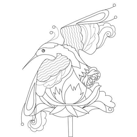 Contour linear illustration for coloring book. Beautiful tropical exotic bird, anti stress picture. Line art design for adult or kids in  style and coloring page.のイラスト素材