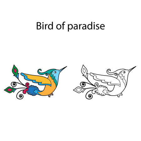 Funny cute hummingbird isolated on white background. Paradise bird. Linear, contour, black and white and colored version. Illustration can be used for coloring book and pictures for childrenのイラスト素材