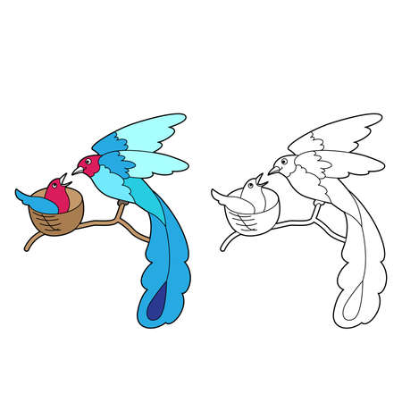 Funny cute hummingbird isolated on white background. Paradise bird. Linear, contour, black and white and colored version. Illustration can be used for coloring book and pictures for childrenのイラスト素材