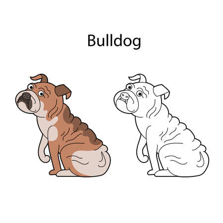 Pretty pet dog. Breed bulldog. Funny cute animal isolated on white background. Linear, monochrome and colored version. Illustration can be used as symbol, for coloring book and pictures for children.のイラスト素材