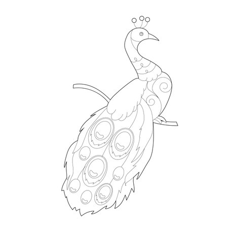Contour linear illustration for coloring book with paradise bird. Beautiful tropical exotic bird, anti stress picture. Line art design for adult or kids in zentangle style and coloring page.のイラスト素材