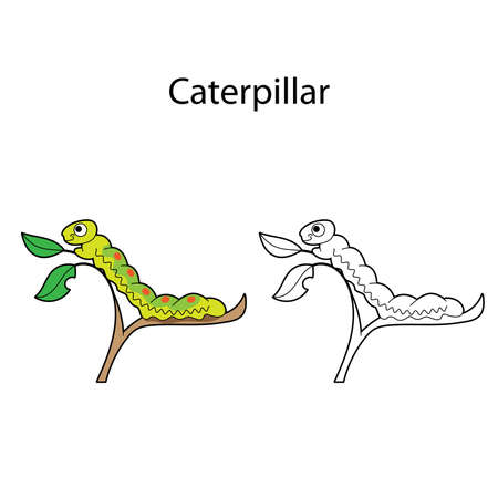 Funny cute insect caterpillar isolated on white background. Linear, contour, black and white and colored version. Illustration can be used for coloring book and pictures for childrenのイラスト素材