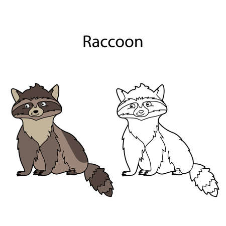 Funny cute animal raccoon isolated on white background. Linear, contour, black and white and colored version. Illustration can be used for coloring book, design template and pictures for childrenのイラスト素材