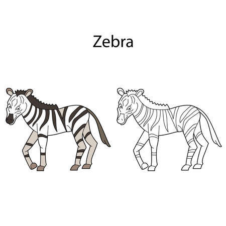 Funny cute animal zebra isolated on white background. Linear, contour, black and white and colored version.のイラスト素材