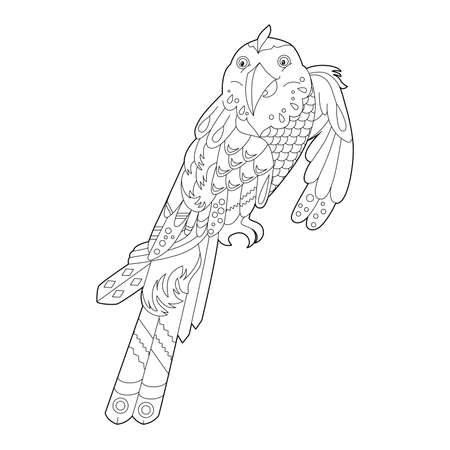 Contour linear illustration for coloring book with decorative parrot. Beautiful tropic bird, anti stress picture. Line art design for adult or kids in zen-tangle style, tattoo and coloring page.のイラスト素材