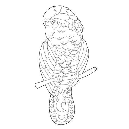 Contour linear illustration for coloring book with decorative parrot. Beautiful tropic bird, anti stress picture. Line art design for adult or kids in zen-tangle style, tattoo and coloring page.のイラスト素材