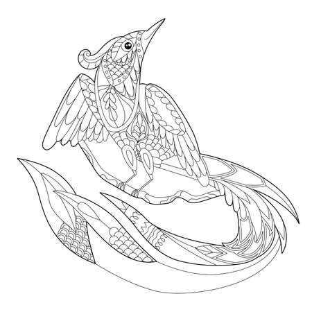 Cute beautiful bird with long tail. Black and white background. Funny creature, coloring book pages.のイラスト素材