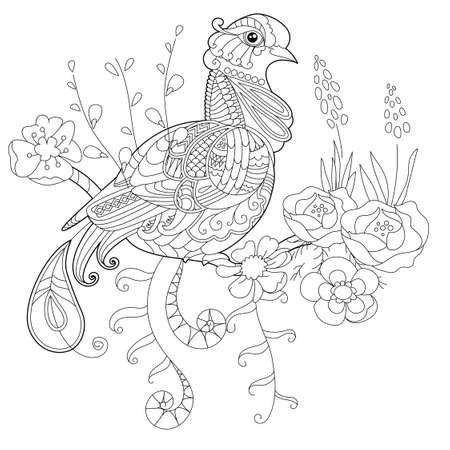 Contour linear illustration for coloring book with paradise bird in flowers. Tropic bird, anti stress picture. Line art design for adult or kids in zen-tangle style, tattoo and coloring page.のイラスト素材