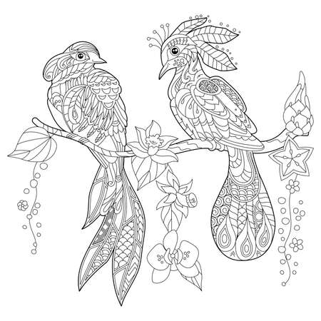 Contour linear illustration for coloring book with paradise bird in flowers. Tropic bird, anti stress picture. Line art design for adult or kids in zen-tangle style, tattoo and coloring page.のイラスト素材