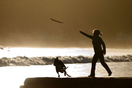 woman throwing stick for dogの写真素材