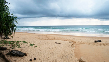 Tropical beach under cloudy sky. Sri Lanka, Asia.の写真素材