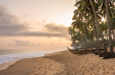 Tropical beach at sunset with palm trees, Sri Lanka.