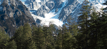 Mountain landscape with forest and snow-capped peaks in the background
