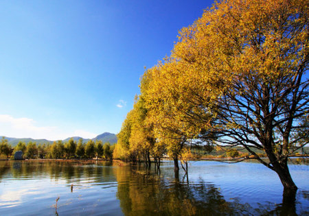 Lake scenery in the autumn, closeup of photo, China.の写真素材