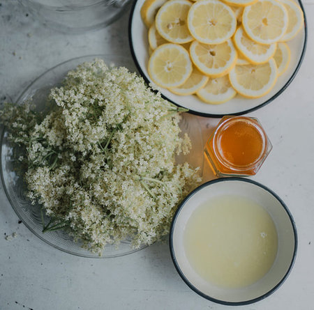 Fresh lemon and honey with elderflower flowers on a white background.の写真素材