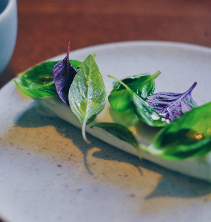 Fresh basil leaves with mozzarella cheese on a white plate.の写真素材
