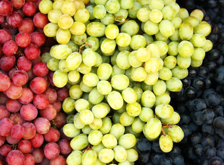 Green and red grapes for sale at a market in Provence, Franceの写真素材